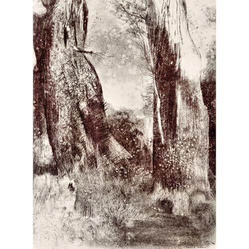 Poster Trunks in the forest Odilon Redon grand format sans plis