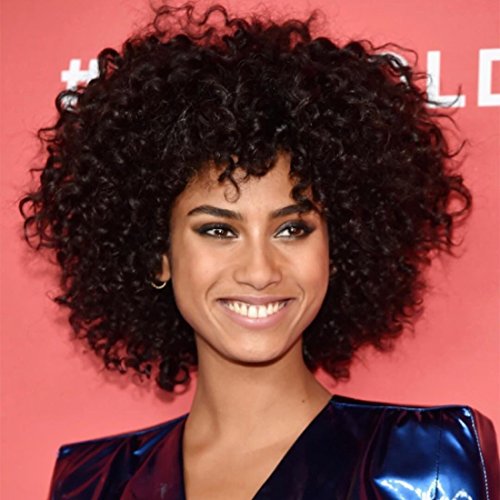 Nadula New Fashion Women's Full Short Curly Wavy Hair Wig Glamour Wig+ Nadula Wig Cap (Curly Black)