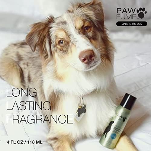 Can We Put Perfume On Dogs