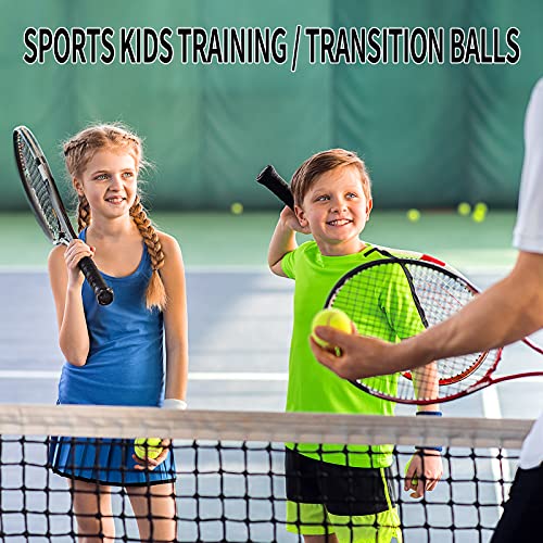 Gkk Tennis Balls 12 Pack Durable Pressurized Tennis Balls Yellow Felt Training Tennis Balls High Bounce Practice Tennis Balls For Beginners Dogs #TOP6