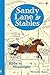 Produktbild Sandy Lane Stables Ride by Moonlight (Young Reading Series 4)