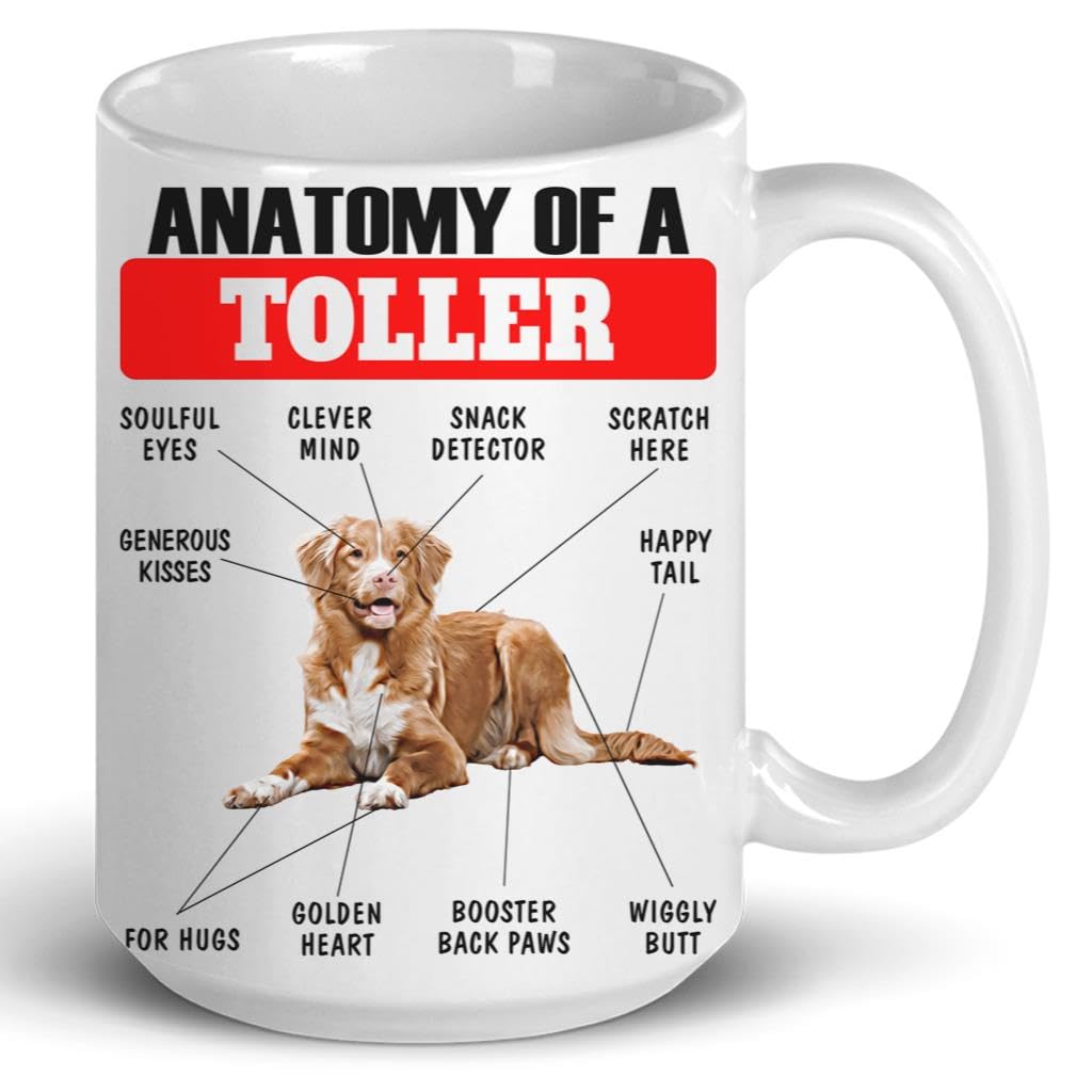 Funny Copper Nova Scotia Duck Tolling Retriever Mug 15oz White - Cute Anatomy Chart Desisgn Ceramic Coffee Cup Gifts for Dog Lovers