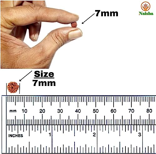 NAISHA Rudraksha & Crystal Sphatik Mala 108 +1 Beads Necklace, Natural 5 Faced Himalaya Rudraksh Prayer Bead, Wrist Wrap Jaap Mala, Size 7 mm (1 Pack) - Image 7
