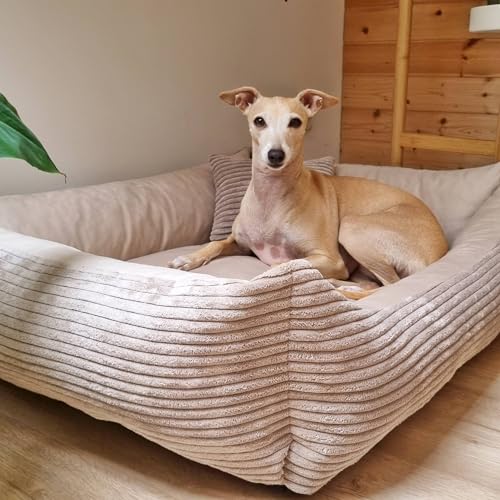 4L Textil Molly Kuscheliges Hundebett Bezug abnehmbar und waschbar Hundekorb mittelgroße Hunde Hundekissen flauschig Hundekörbchen Hundesofa (60x40 cm, Beige)