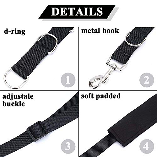 5 Best Dog Grooming Nooses Dog Grooming Restraints