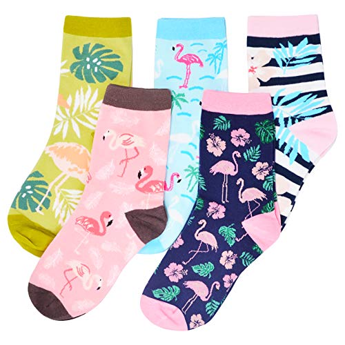 Moyel Socks Women, 5 Pairs of Funny Cute Socks Gifts for Women2