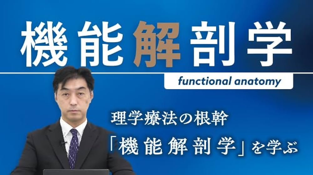 機能解剖学functional anatomy【DVD6枚組】ME316-S Amazon.co.jp: 機能解剖学 functional anatomy［理学療法 ME316