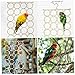 BESPORTBLE 2pcs Parrot Swing Toy Rope Climbing Net Ladder for Birds Activity Toy for Pets Random Colors Promotes and Stress