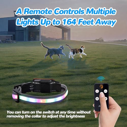 2X Collar para gatos iluminado LED impermeable recargable con mando remoto 5