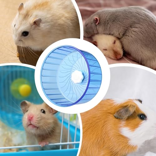 Roda de hamster silenciosa, roda de hamster pequena,Rodas de exercício para hamster - Roda de hamste
