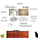 Family Wall Decals~Set of 12 Family Words Quote Art Stickers Wall Decal (No Photos and Frames Included)
