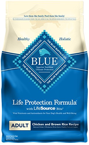 Blue Buffalo Life Protection Formula Natural Adult Dry Dog Food: All-Natural Nutrition for Your Furry Friend