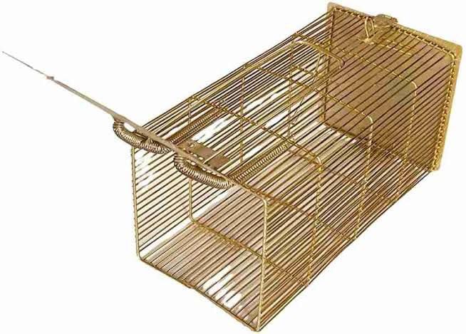Humane Rat Trap Cage, 32 cm, Reusable Enlarged Rodent Catcher for Mice, House Garden Patio (B0DHD4ZDDG) Amazon Price History, Amazon Price Tracker