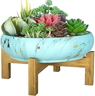 ARTKETTY Plant Pots Indoor, 25.5 CM Large Flower Pot with Drainage Stand Marble Succulent Plant Pot, Shallow Ceramic Pots for Outdoor Cactus Plants Decorative Garden Bonsai Plant Bowl