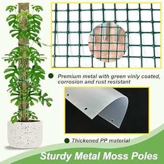HOLANHING 60" Metal Moss Pole, D Shape Sphagnum Moss Pole, Moss Poles for Climbing Plants, Monstera, Indoor Climbing Plants (6Pcs 60")