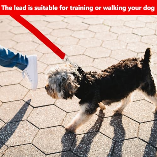 Schleppleine 10m für Hunde, Wasserdicht Hundeleine mit Handschlaufe und 360° Karabiner, Robuste Ausbildungsleine Schleppleine für Mittlere Große Kleine Hunde (Rot)