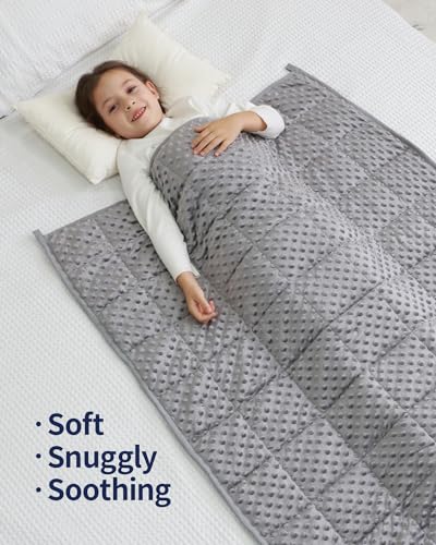 Image of Mr. Sandman Weighted Blanket 5LBS 36 x 48 Inches, Minky Dots Heavy Blanket with Glass Beads, Soft and Cooling for School and Home, Grey
