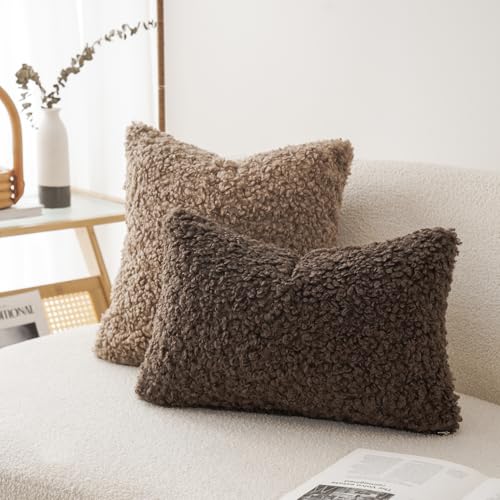 Image of Foindtower Set of 2 Curly Teddy Wool Pillow Covers Decorative Boucle Textured Lumbar Throw Pillow Faux Fur Pillowcases Sheepskin Cushion Case for Sofa Bedroom Car 12 inchx20 inch Chocolate