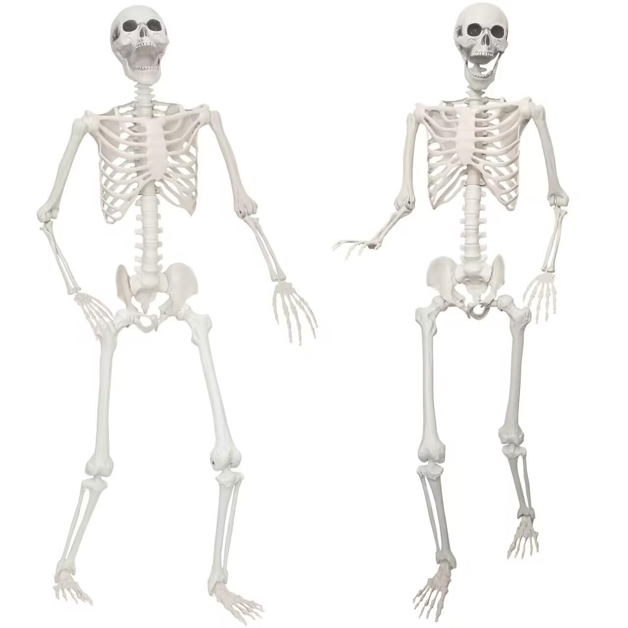 Lodou 2 Pack 5.4ft/165cm Life Size Skeleton Halloween Skeletons,Full Body Human Bones with Movable Joints for Indoor Outdoor Halloween Decor