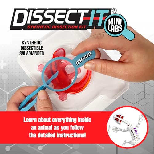 Image of Top Secret Toys Dissect-It Mini Labs Salamander Dissection Kit for Kids, Realistic Synthetic Kids Science Kit - On, Biology and Animal Anatomy, STEM Toy, Ages 6+