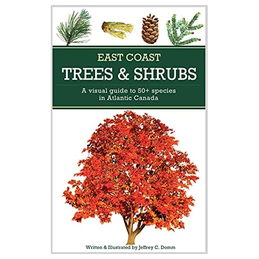 East Coast Trees and Shrubs: A visual guide to 50+ species in Atlantic Canada