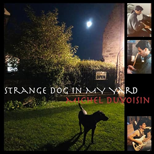 Strange Dog in My Yard