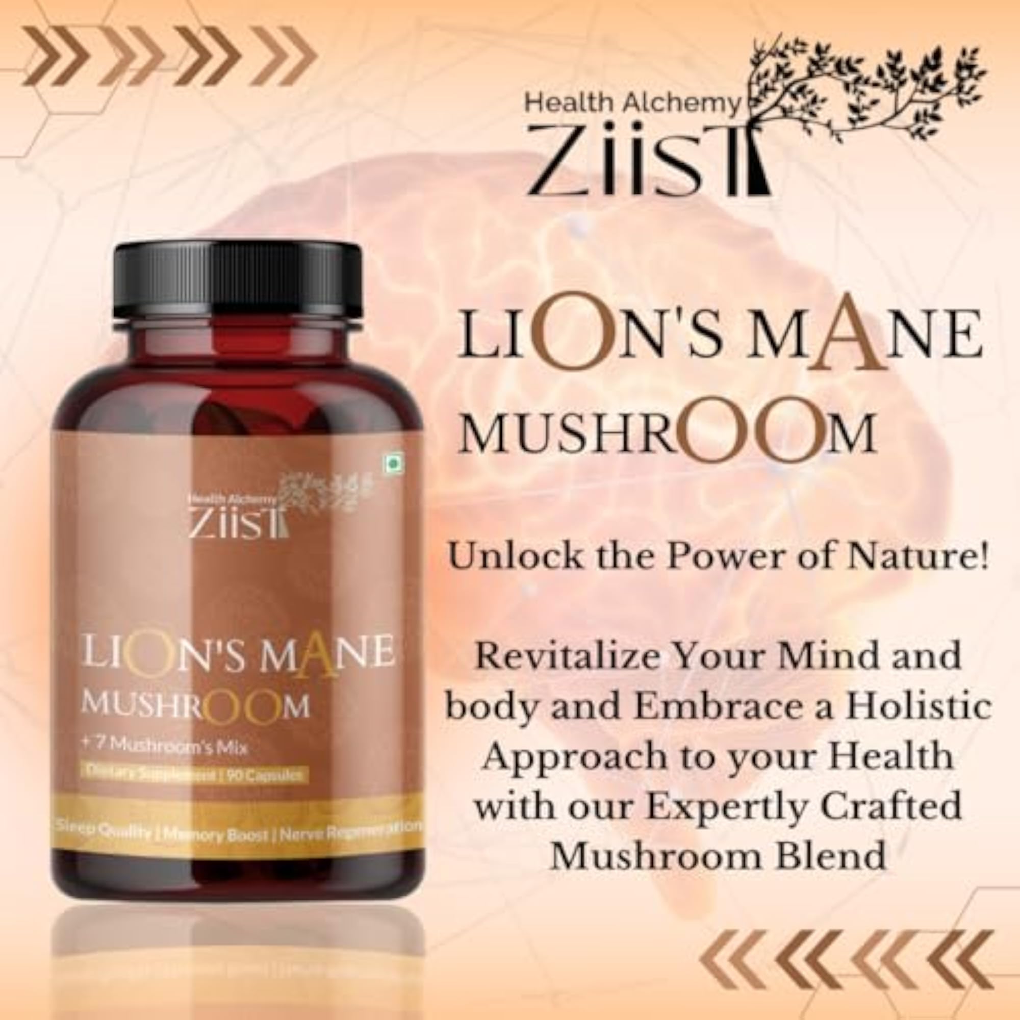 Lion's Mane Mushroom Dietary Supplement, 90 Capsules