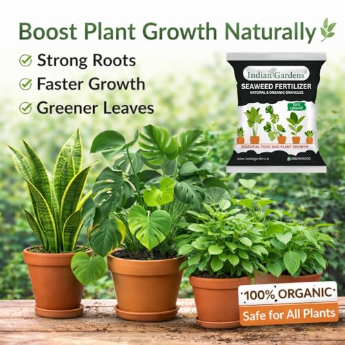 Image of Indian Gardens - Seaweed Fertilizer 10 Kg | Organic Seaweed Extract | Plant Growth Booster, Root Enhancer & Flowering Booster | For Indoor, Outdoor & All Plants