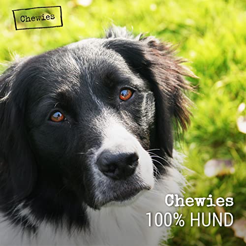 Chewies Kauwurzel für Hunde aus Baumheide Wurzel - 100 % natürliches Hunde-Spielzeug risikoarm & langlebig: Für Hunde bis 10 kg Körpergewicht, S (1er Pack)