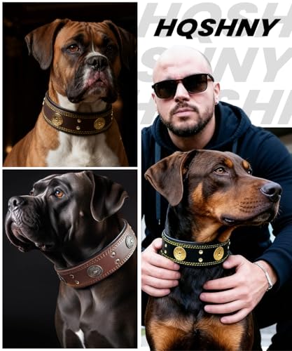 Hundehalsband Leder, 5 cm Breites Robustes Echtes Lederhalsband, Handgefertigt, Weich und Luxuriös, Auffällige Beste Wahl für Große und Mittelgroße Hunderassen, Gold-Schwarz M