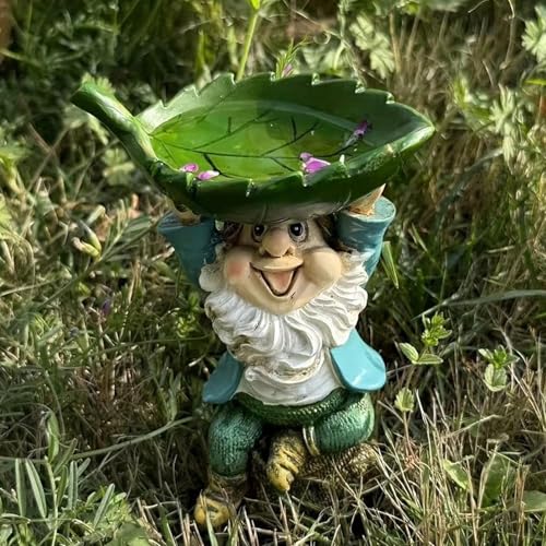 Mangeoire pour oiseaux nain de jardin en résine avec bain intégré - 4