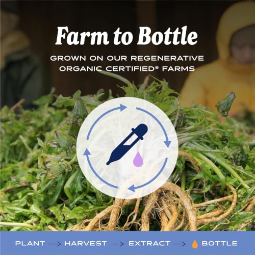 Herb Pharm Alcohol-Free Dandelion Extract