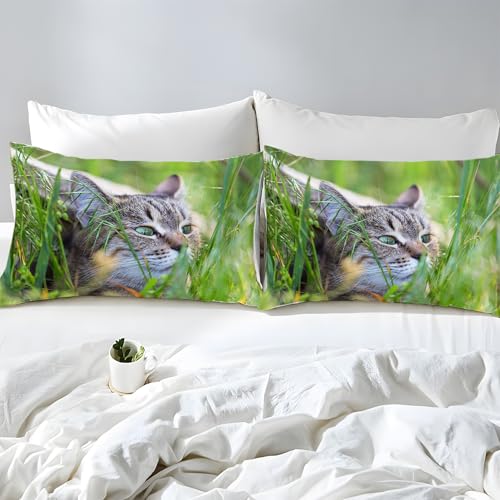 Housse de couette 240x260 tête de chat avec 2 taies d'oreiller