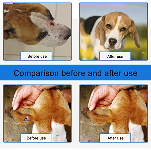 Cutiolly Haustier Wundspray,Wundpflege für Hunde Katzen,Pet Wound Spray,Wundheilungsspray,Katzen-Wundpflege,Haustier Reinigungsspray,für Wunden und Schürfwunden,Juckreiz,Linderung von Hunden,30ml