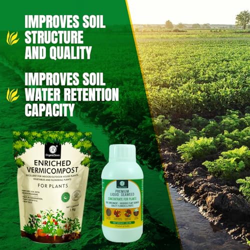 Image of OrganicDews Enriched Vermicompost 1 Kg + Liquid Seaweed Fertilizer 250ml Bio Stimulant - Plant Growth Enhancer, Soil Conditioner for Indoor & Outdoor