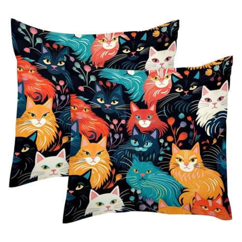 Housse de coussin chat lavable en velours pour canapé et lit - 2