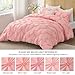 BEDELITE Pink Queen Comforter Set - 3 Pieces Boho Pintuck Bedding Comforter Sets, Lightweight Soft & Warm Bed Comforter with 2 Pillowcases for All Season,Valentines Day