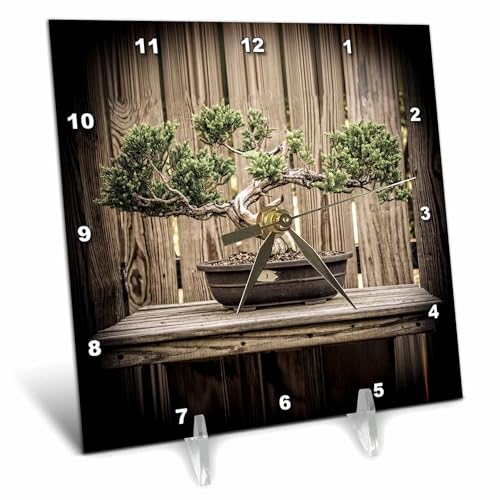 3dRose dc_77214_1 Bonsai on a Stand-Desk Clock, 6 by 6-Inch