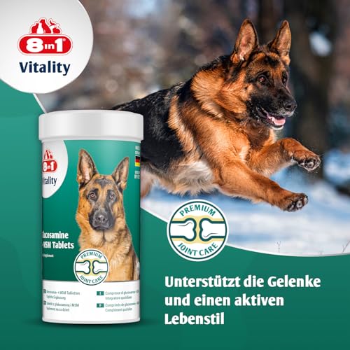 8in1 Glucosamin Tabletten mit MSM - zur Nahrungsergänzung bei ausgewachsenen und älteren Hunden, 1 Dose (55 Tabletten)