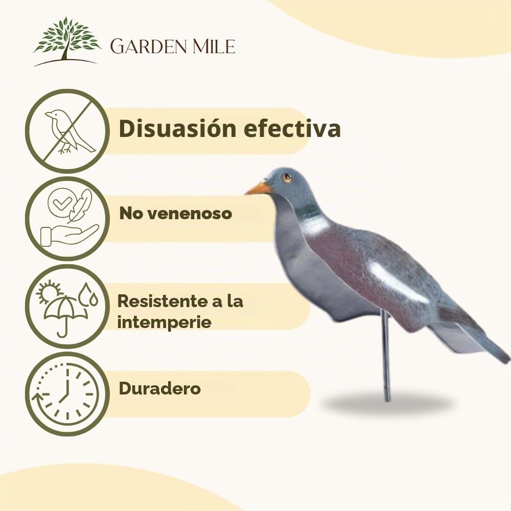 HHH Caza 6X Media Concha Flocado Paloma Cebo Bird Caza señuelos con Clavijas Bird Llamando Accesorios para Caza Y Tiro