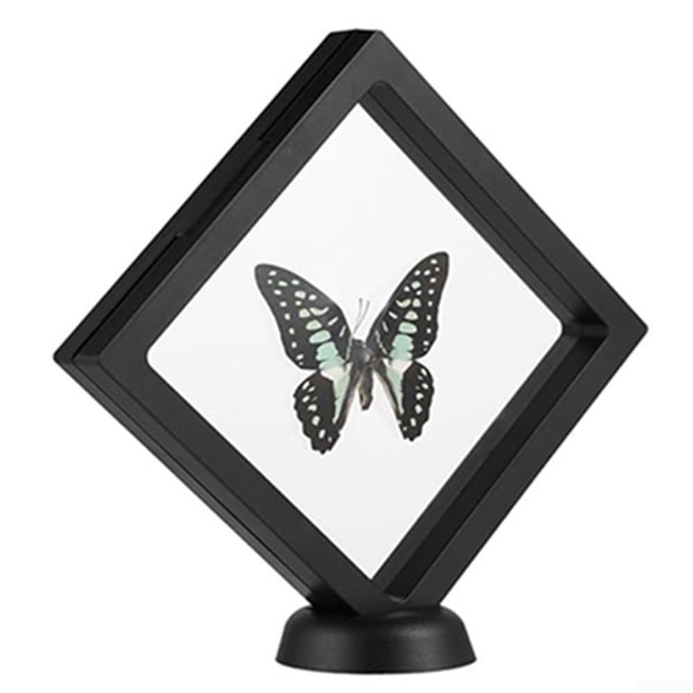 Insekten Präparier Set 6-teilig mit EVA Nadelbrett, Koordinatenpapier & Glasine – Edelstahl Nadeln für Schmetterlinge & Käfer – Komplettkit für Anfänger