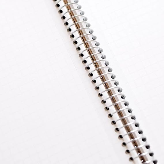 Maruman N245ES Notebook, Ring Notebook, 0.2 inches 5 mm, Graph Rule, Basic, A4, 80 Sheets