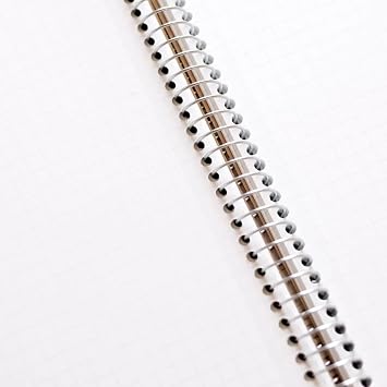 Maruman N245ES Notebook, Ring Notebook, 0.2 inches 5 mm, Graph Rule, Basic, A4, 80 Sheets