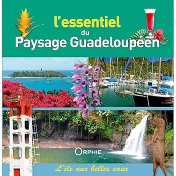Paperback L'essentiel du paysage guadeloupéen Book