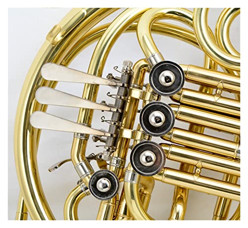 Alfaal Professional F/Bb French Horn Is Suitable For Brass Band Professional French Horn #TOP3