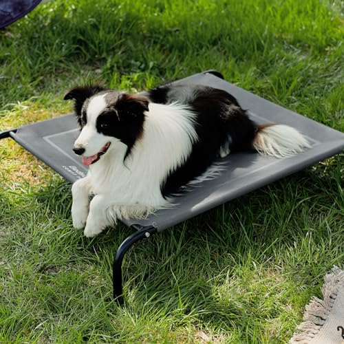 Bedsure Hundebett für kleine Hunde – Erhöhte Hundeliege für drinnen und draußen