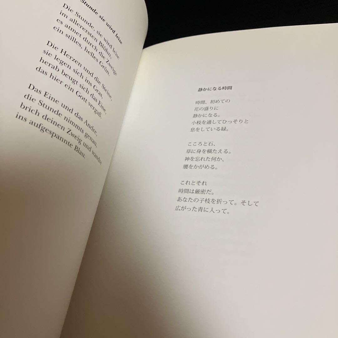 1000部限定 ツーゼ・マイヤー 声の庭 図録 【公式通販】