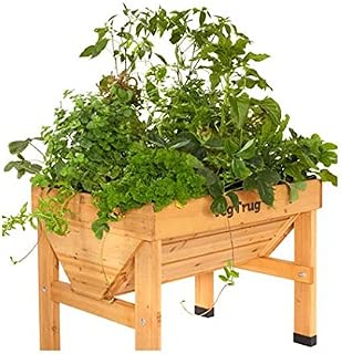 Amazon.es: PlanetaHuerto-es - Huertos urbanos y otras estructuras ...