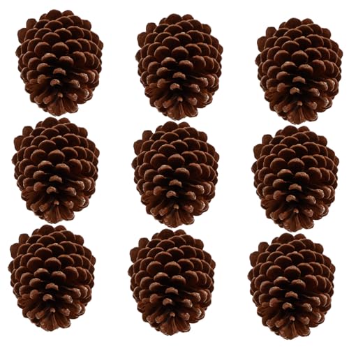 Healifty 9 Pezzi Pigne Naturali di Pino Grandi per Decorazioni Rustiche Materiali Diy per Ghirlande Ornamenti e Centrotavola Accessori Decorativi per Casa e Feste