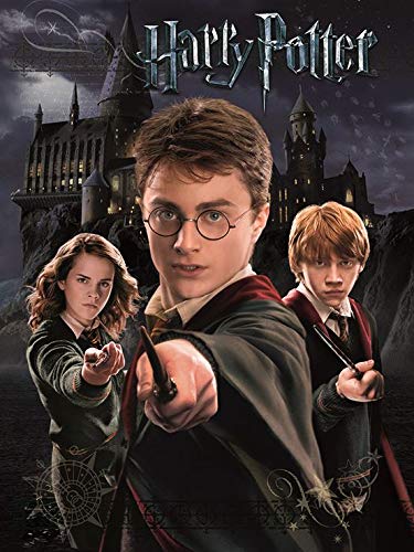 Pyramid International HARRY POTTER (HARRY RON HERMIONE) - 30X40